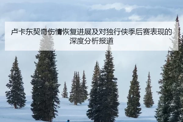 卢卡东契奇伤情恢复进展及对独行侠季后赛表现的深度分析报道