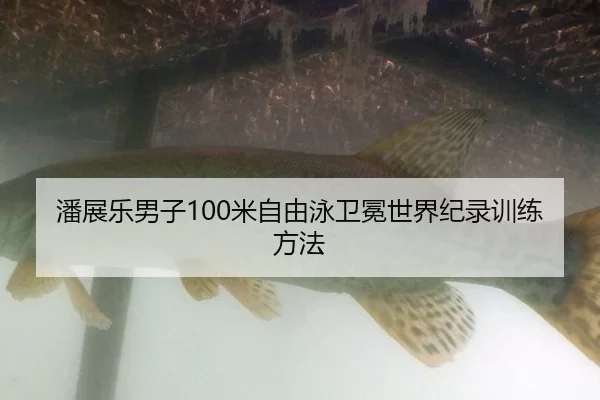潘展乐男子100米自由泳卫冕世界纪录训练方法